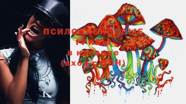 каннабис Покачи