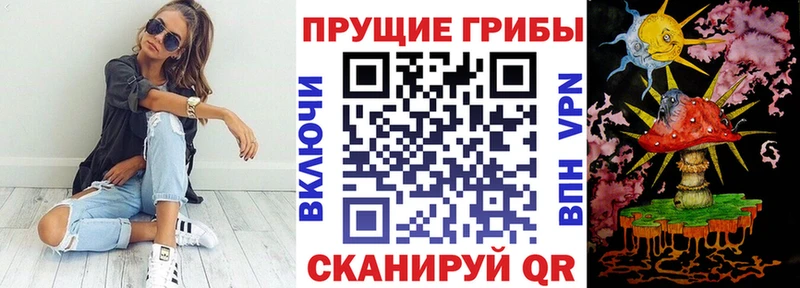 купить   Богданович  Галлюциногенные грибы GOLDEN TEACHER 